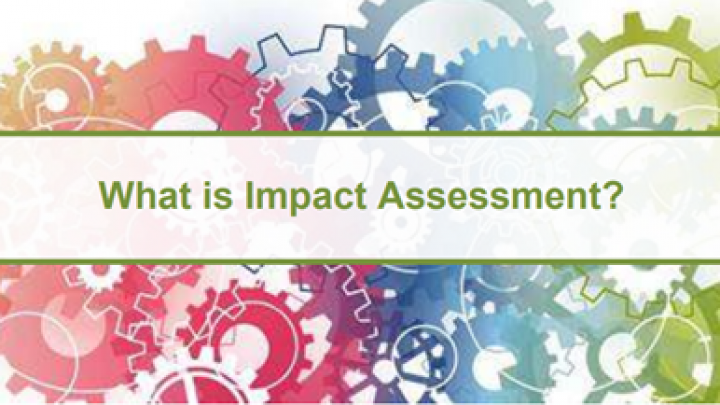 The OECD’s stand of “What is Impact Assessment”