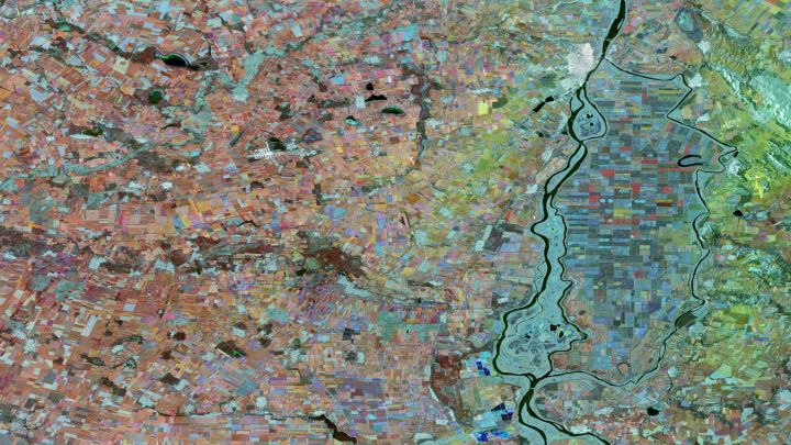 FutureEO benefits series – Empowering farmers, policymakers, and researchers in transforming agriculture